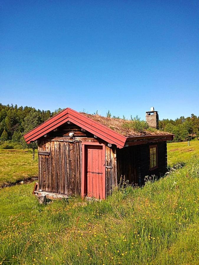 Rondane Friluftssenter Rondetunet Brenn Εξωτερικό φωτογραφία