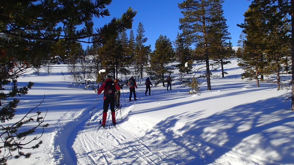 Rondane Friluftssenter Rondetunet Brenn Εξωτερικό φωτογραφία