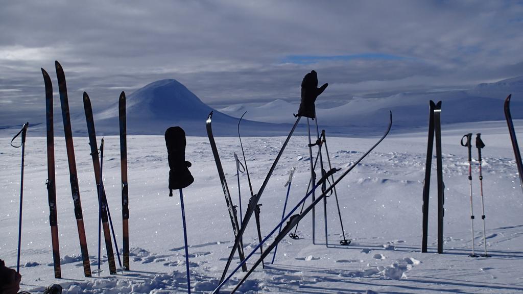 Rondane Friluftssenter Rondetunet Brenn Εξωτερικό φωτογραφία